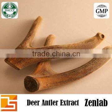 Cervus Elaphus L Antler Extract Powder