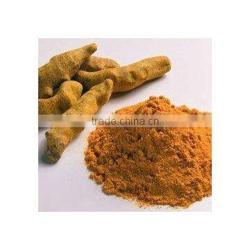 High Quality Yellow Turmeric powder