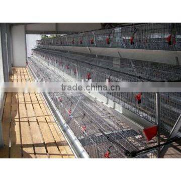 factory price feeder chicken/Plastic Poultry/poultry control shed equipment