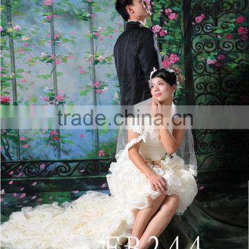 3 x 5 Meters Hand Painted Wedding Photograph Studio Backdrops