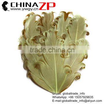 CHINAZP Factory Wholesale Top Colored Cream and Brown Curled Goose Feathers Pad Plumage for Hair Accessories