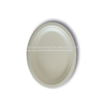 JUST Disposable Compostable Tableware Oval Plate 9