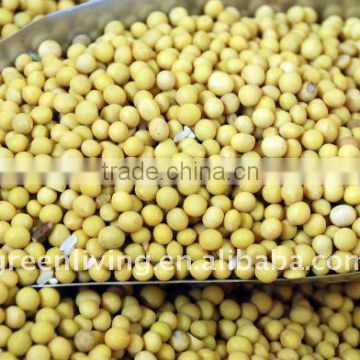 Soya bean,yellow bean from China