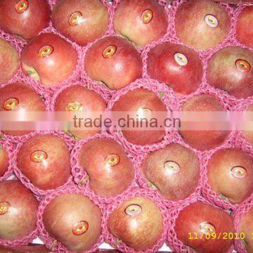 Chinese Red Star Apple