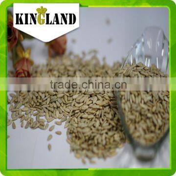 chinese sunflower kernels confectionary