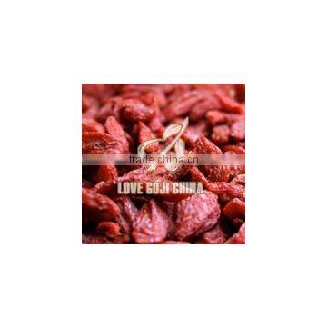 2014 GOJI BERRIES