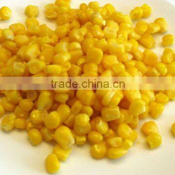 Sweet Corn Manufacturers