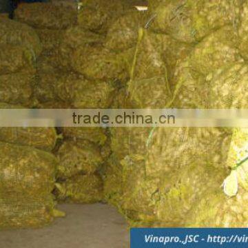 VIETNAM DRIED SLICE GINGER, BEST PRICE, HIGH QUALITY (+841657106604 - WHATSAPP) photo-2