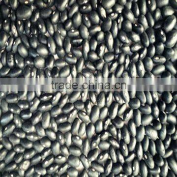 JSX bag packaging black kidney bean Quality dried black gram