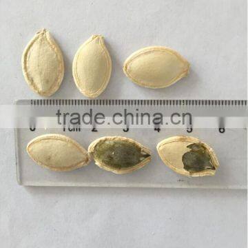 raw organic pumkin seeds shine skin for sell