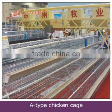 automatic chicken layer cage for sale in philippines/chicken wire for bird cage/chicken cage for sale in philippines