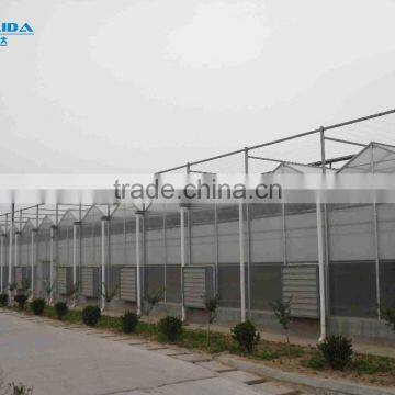 BaoLiDa Low Cost 20 Micron Polycarbonate Greenhouse pc Sheet Greenhouse photo-4
