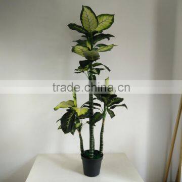 fake decorative dieffenbachia rohdea artificial evergreen wholesale