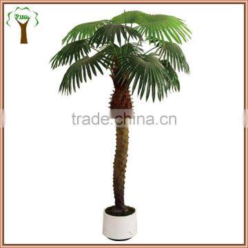 artificial fan palm tree with special head for indoor decoration