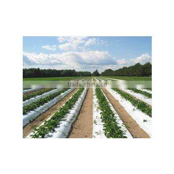 pp Spunbond Nonwoven Fabric Ground Cover Weed Control Mat photo-5