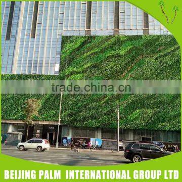 High Quality Artificial Green Wall photo-6