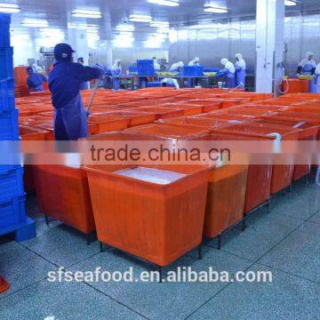 Competitive Price of Frozen Illex Squid photo-2