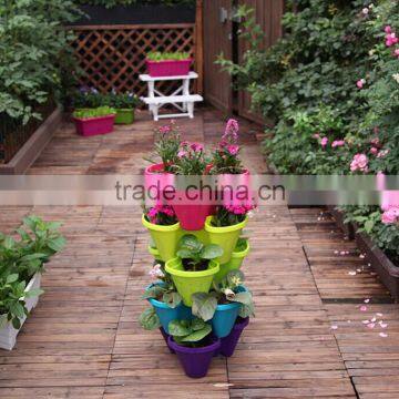 hot selling 2015 spring potted flowers wholesale