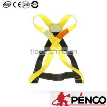 CE EN Standard Nylon Material Safety Belt photo-4
