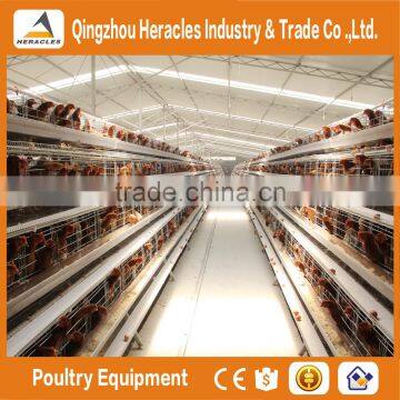 Shandong Heracles trade assurance equipment poultry A type laying hen cages for sale