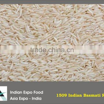 Indian Basmati Rice in bulk best price and good quality