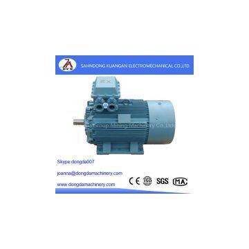 Explosion-proof Electric Motor