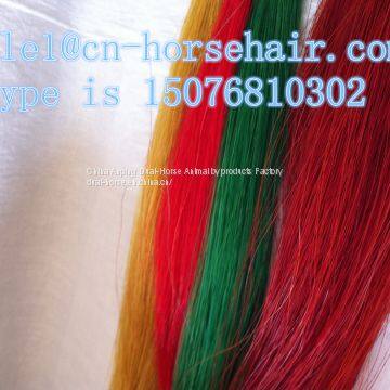 Dyeing Horsetail