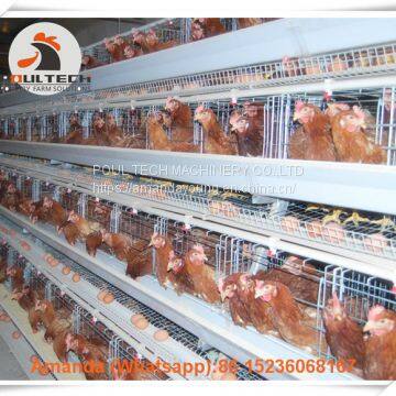 Venezuela Chicken Farm Automatic Egg Chicken Cage & Battery Layer Hen Cage with 90-200 birds in Chicken Shed