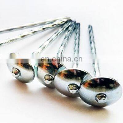 China Supplier Roofing Nails Suppliers in China With High Quality and Low Price Insulated photo-4
