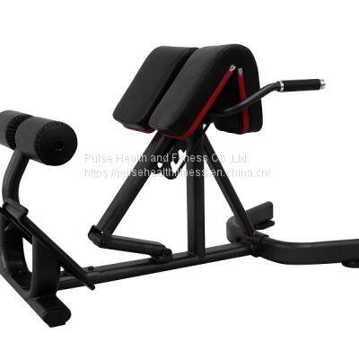 commercial back extension gym fitness equipment