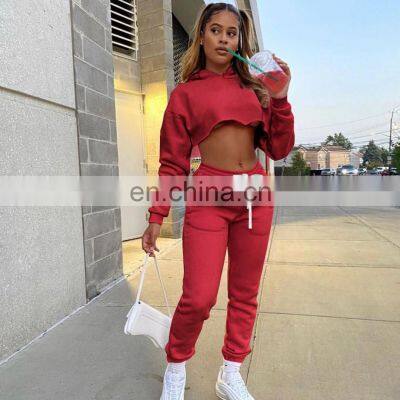 Customized Wholesale Two-piece Women's Casual Wear Two-piece Hoodie Plus Size Sweatpants Suit Jogging Suit Women photo-4