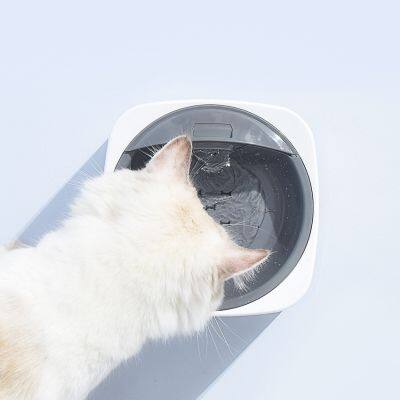 Smart Motion-Activated Pet Water Fountain - 3-Side Infrared Sensor & Rechargeable Automatic Circulating Drinker for Cat photo-2