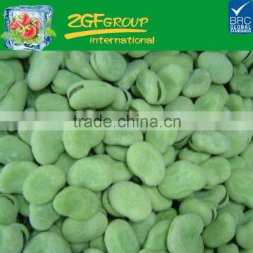 IQF frozen green broad beans