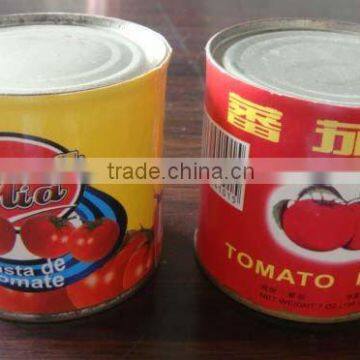 3000g Cold Break Tomato Paste to Tomato Sauce and Tomato Puree