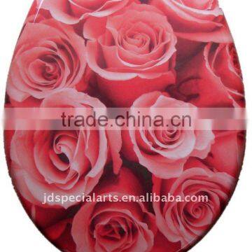 Release Closing Toilet Seat Design