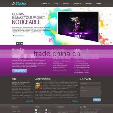 Professional web development