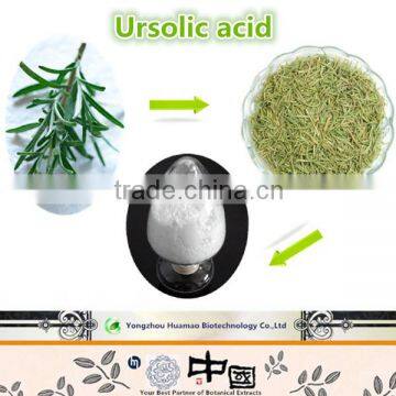 Manufacutrer supply best price Rosemary Extract natural organic Ursolic Acid