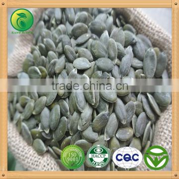 GWS Pumpkin Kernels raw cashew nut wholesale