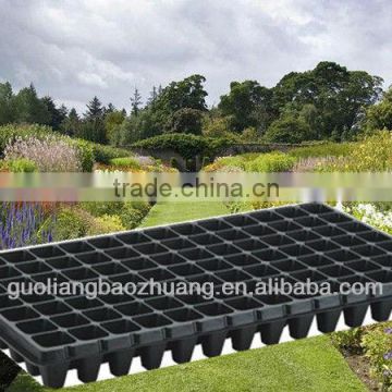 Plastic Square Seed Tray