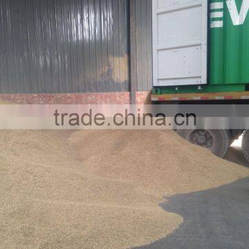 Horse Oats in Bulk With Wholesale Price photo-3