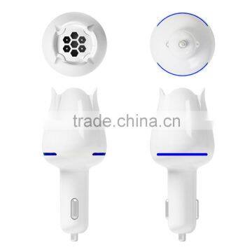 Custom Eliminate Secondhand Smoke and Fresh Air Freshener for Car photo-4