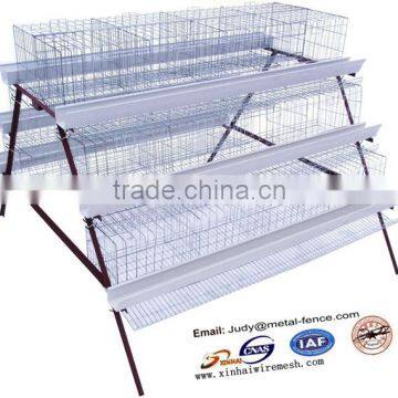 High quality cheap poultry cage layer chicken cage for sale