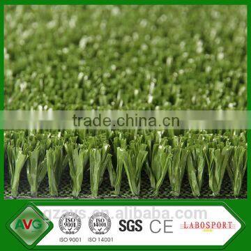 Volleyball Grass photo-5