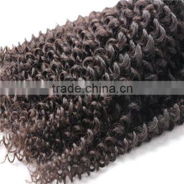 Brazilian Virgin Hair 6A Water Wave 4pcs /lot Brazilian Hair Bundles Remy Human Hair Water Wave photo-2