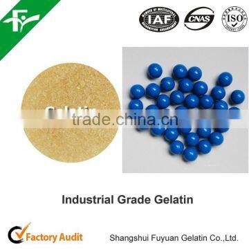 bulk gelatin powder industrial gelatin