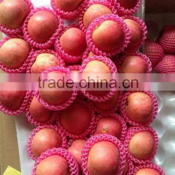 Yantai Fresh Fuji Apple Best Price Exporter in China