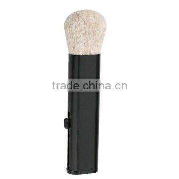 Cosmetic brush