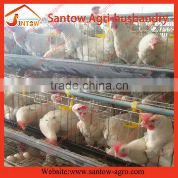 best professional hot sale automatic cages laying hens