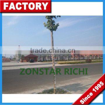 About Our Factory _ Henan Zongstar Richi Machinery _ Production Feed Pellet Machinery photo-2