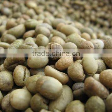 ROBUSTA COFFEE BEAN S13 S16 S18 CLEAN WET POLISHED (skype: hanfimex08)